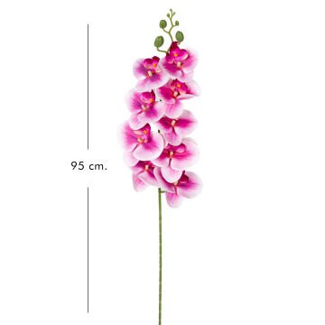 Yapay Orkide Gerçek Dokunuş Fuşya-Beyaz 95 Cm.
