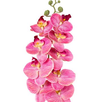Yapay Orkide Gerçek Dokunuş Fuşya-Sarı 95 Cm.