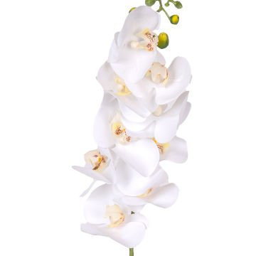 Yapay Orkide Gerçek Dokunuş Beyaz 90 Cm.