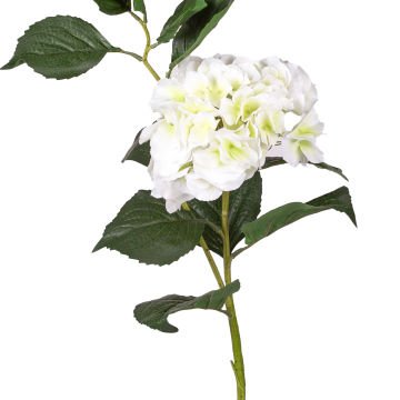 Yapay Çiçek Islak Dokulu Ortanca Beyaz Tek Dal 110 Cm.
