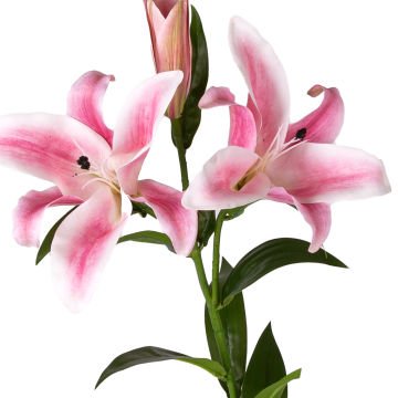 Yapay Çiçek Zambak Pembe-Beyaz 85 Cm.