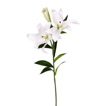 Yapay Çiçek Zambak Beyaz 85 Cm.