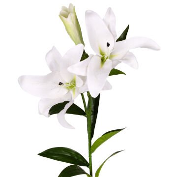 Yapay Çiçek Zambak Beyaz 85 Cm.