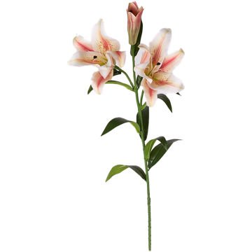 Yapay Çiçek Zambak Fuşya-Krem 85 Cm.