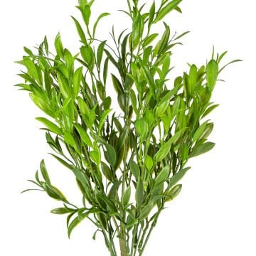 Yapay Çay Demeti Koyu Yeşil 55 Cm.