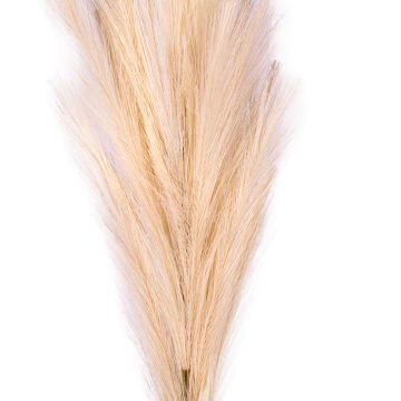 Yapay Bitki Pampas Dal Krem 108 Cm.