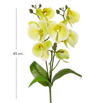 Yapay Orkide Gerçek Dokunuş Yeşil 45 Cm.
