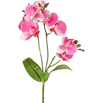 Yapay Orkide Gerçek Dokunuş Pembe 45 Cm.