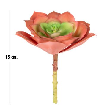 Yapay Kaktüs Sukulent Kırmızı 15 Cm