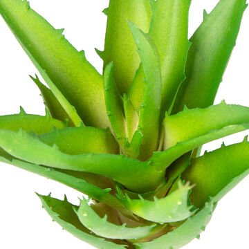 Yapay Kaktüs Sukulent Yeşil 15 Cm