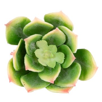 Yapay Kaktüs Sukulent Yeşil 12 Cm