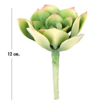 Yapay Kaktüs Sukulent Yeşil 12 Cm