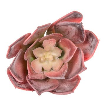 Yapay Kaktüs Sukulent Bordo 12 Cm