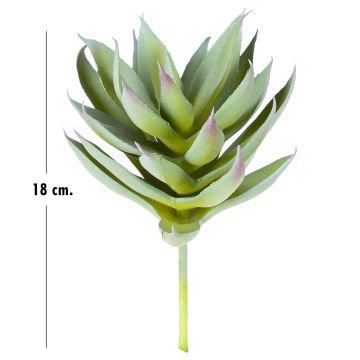 Yapay Kaktüs Sukulent Yeşil 18 Cm