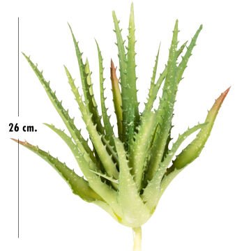 Yapay Kaktüs Sukulent Yeşil 23 Cm