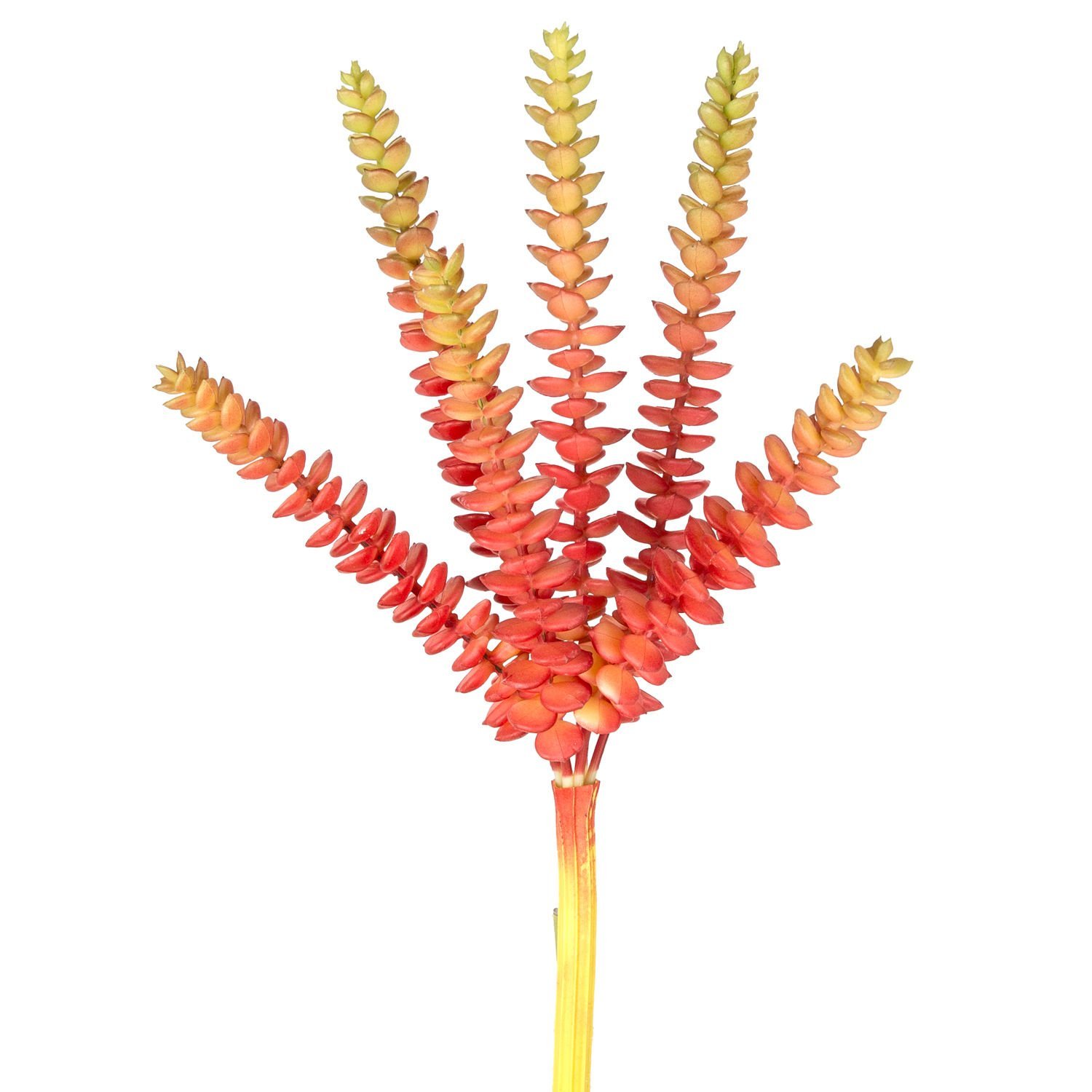 Yapay Kaktüs Sukulent Kırmızı/Yeşil 26 Cm