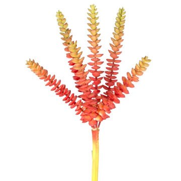 Yapay Kaktüs Sukulent Kırmızı/Yeşil 26 Cm