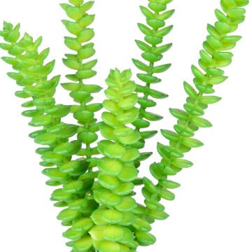 Yapay Kaktüs Sukulent Yeşil 26 Cm