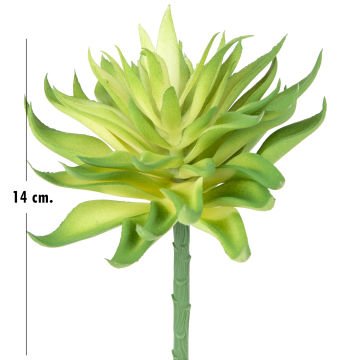 Yapay Kaktüs Sukulent Yeşil 14 Cm
