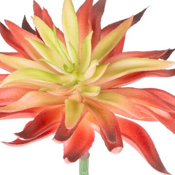 Yapay Kaktüs Sukulent Kırmızı 14 Cm