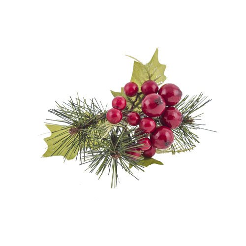 Yılbaşı Çiçeği Berry Pike 20 Cm