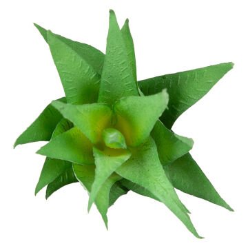 Yapay Kaktüs Sukulent Yeşil 17 Cm