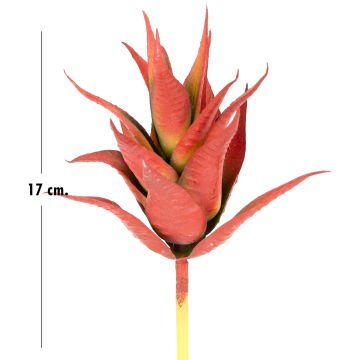 Yapay Kaktüs Sukulent Kırmızı 17 Cm