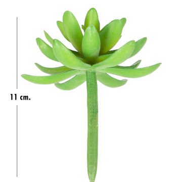 Yapay Kaktüs Sukulent Yeşil 11 Cm