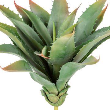 Yapay Kaktüs Sukulent Yeşil 30 Cm