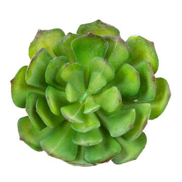 Yapay Kaktüs Sukulent Yeşil 14 Cm