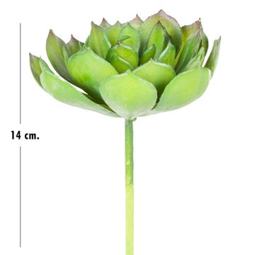 Yapay Kaktüs Sukulent Yeşil 14 Cm