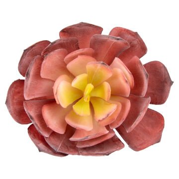 Yapay Kaktüs Sukulent Kırmızı 14 Cm