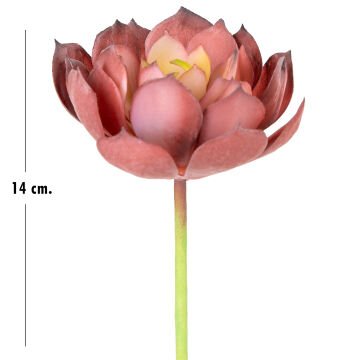 Yapay Kaktüs Sukulent Kırmızı 14 Cm