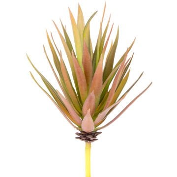 Yapay Kaktüs Sukulent Kırmızı/Yeşil 20 Cm