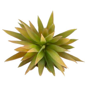 Yapay Kaktüs Sukulent Kırmızı/Yeşil 20 Cm