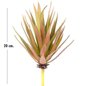 Yapay Kaktüs Sukulent Kırmızı/Yeşil 20 Cm