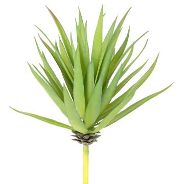 Yapay Kaktüs Sukulent Yeşil 20 Cm