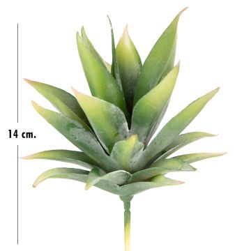 Yapay Kaktüs Sukulent Yeşil 14 Cm
