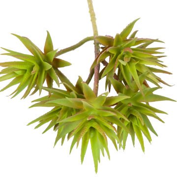 Yapay Kaktüs Sukulent Kırmızı/Yeşil 34 Cm