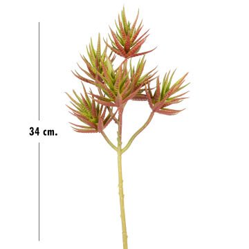 Yapay Kaktüs Sukulent Kırmızı/Yeşil 34 Cm