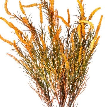 Yapay Çiçek Lavanta Demet Yeşil-Kahverengi 65 Cm.