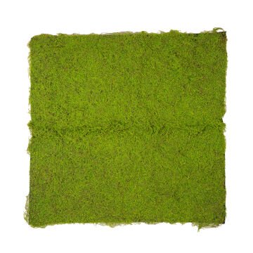 Yapay Yosun Duvar Dekoru Tabaka Açık Yeşil 100X100 Cm.
