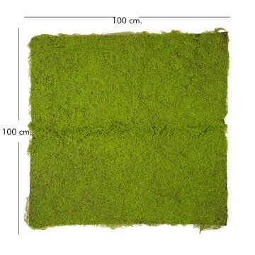 Yapay Yosun Duvar Dekoru Tabaka Açık Yeşil 100X100 Cm.