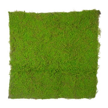Yapay Yosun Duvar Dekoru Tabaka Koyu Yeşil 100X100 Cm.
