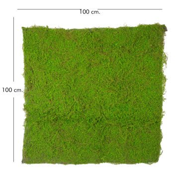 Yapay Yosun Duvar Dekoru Tabaka Koyu Yeşil 100X100 Cm.