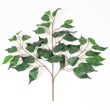 Yapay Kıvrımlı Ficus Dalı Yeşil 60 Cm.