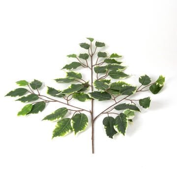 Yapay Ficus Dalı Yeşil-Beyaz 60 Cm.