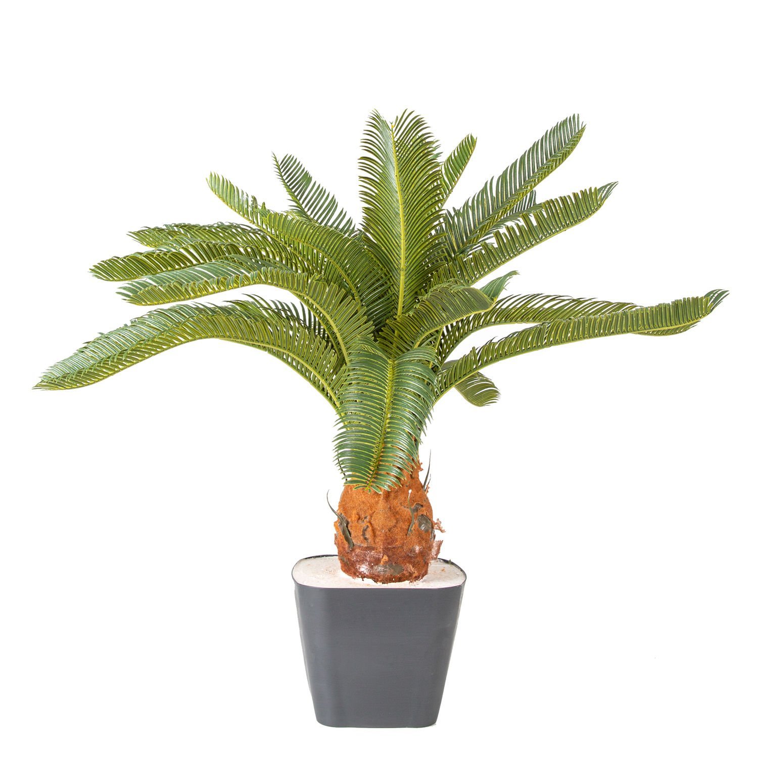 Yapay Çikas - Cycas Ağacı 25 Yapraklı Yeşil 72 Cm.
