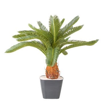 Yapay Çikas - Cycas Ağacı 25 Yapraklı Yeşil 72 Cm.