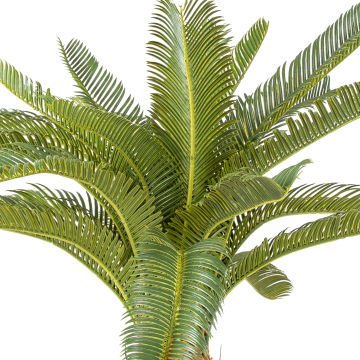 Yapay Çikas - Cycas Ağacı 25 Yapraklı Yeşil 72 Cm.